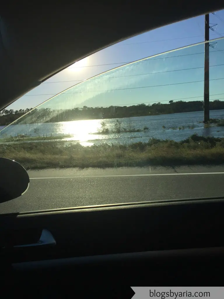 flood receding after it's crest during hurricane matthew