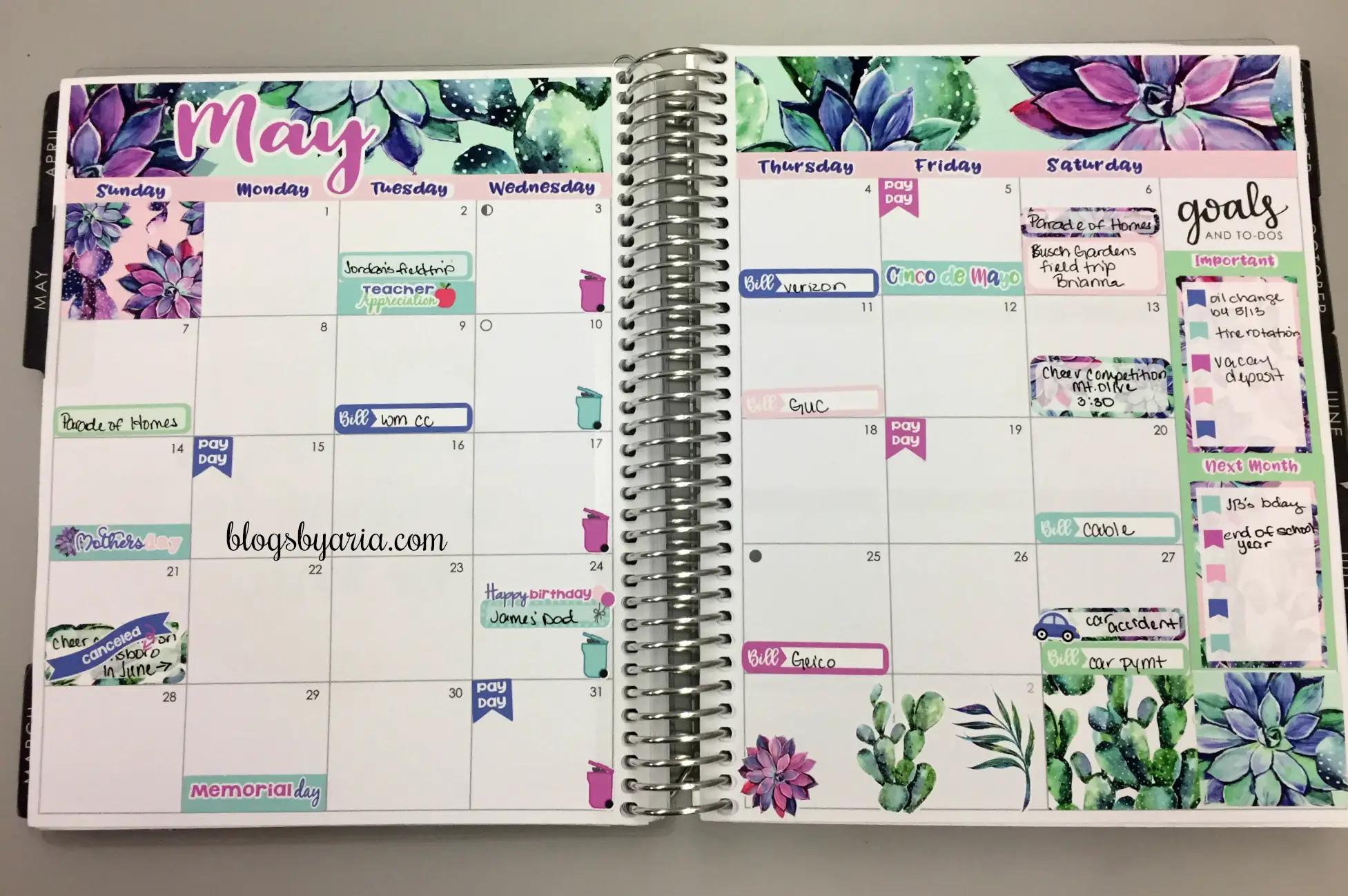 May Monthly Succulents Kit