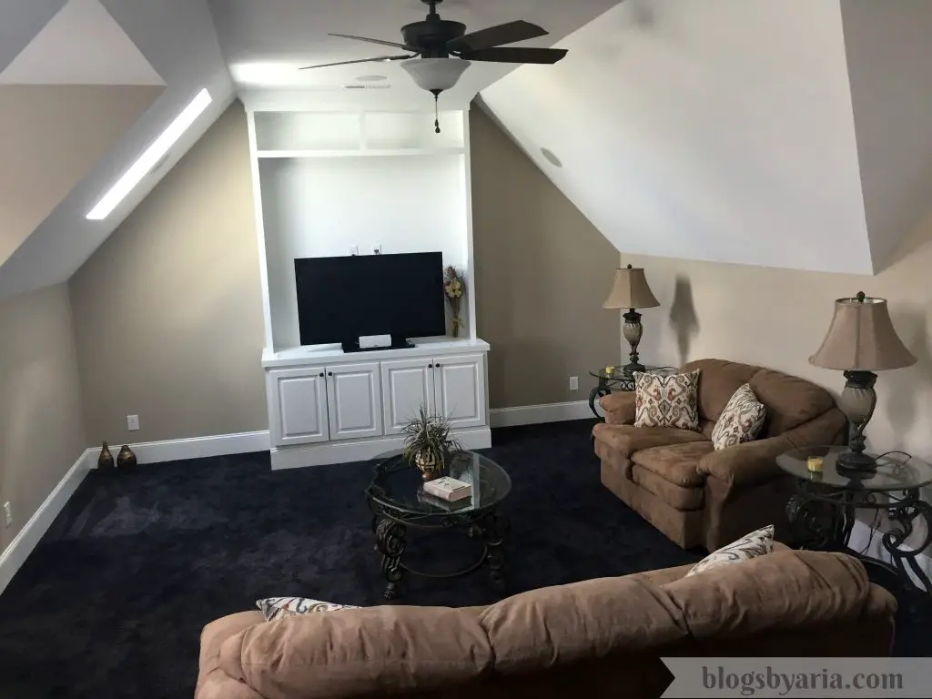 theater/bonus room