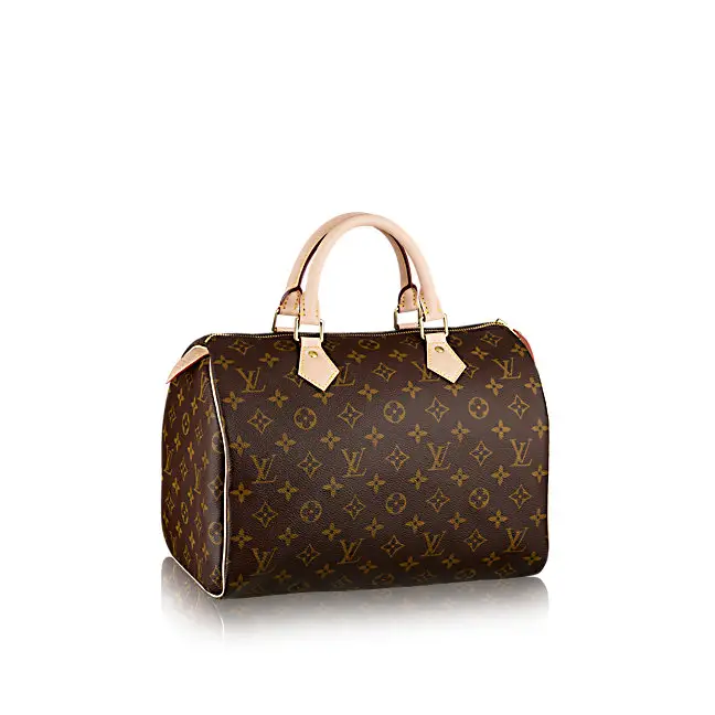 Louis Vuitton Speedy 25 in Monogram Canvas