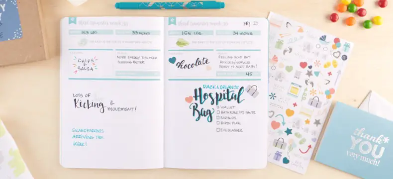 Erin Condren Petite Planner Pregnancy Journal