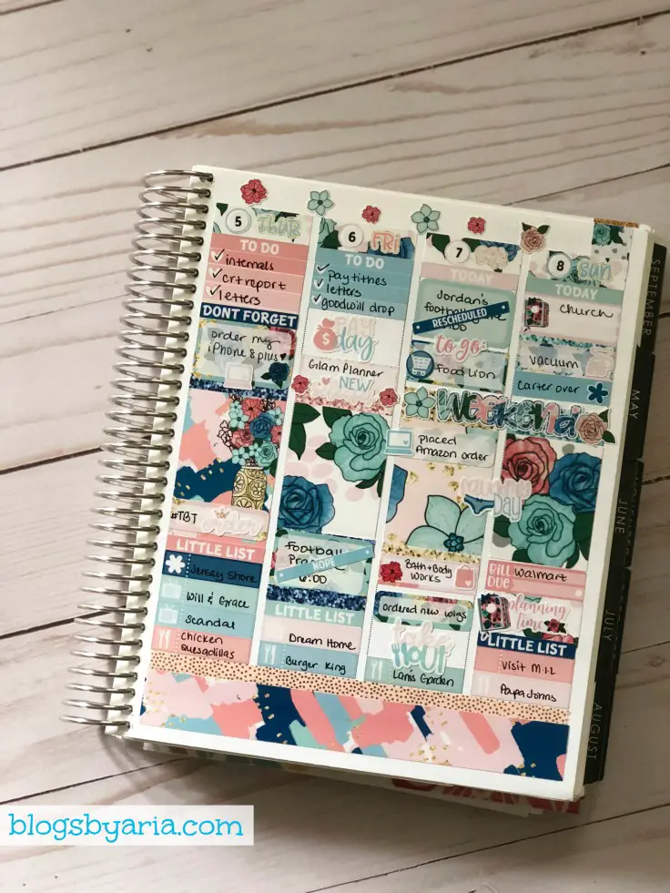 Erin Condren Planning