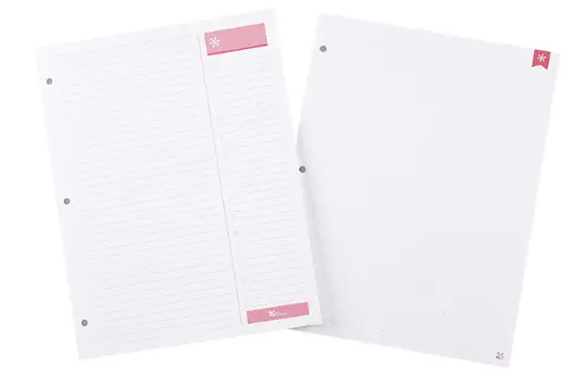 Erin Condren 3 Hole Punched Insert Pad