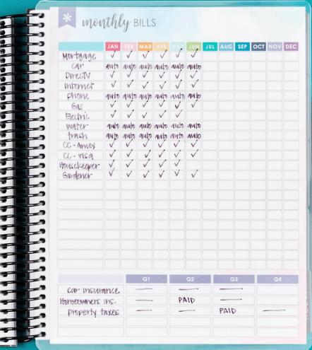 Erin Condren Snap-In Monthly Bill Tracker Dashboard