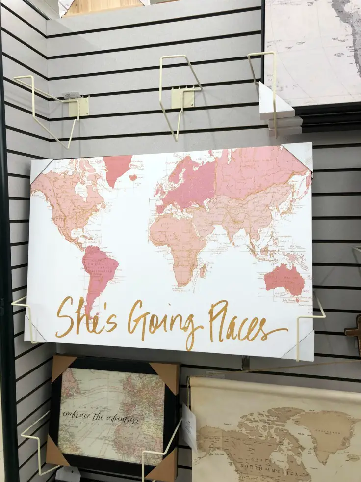 She's Going Places Canvas Wall Decor