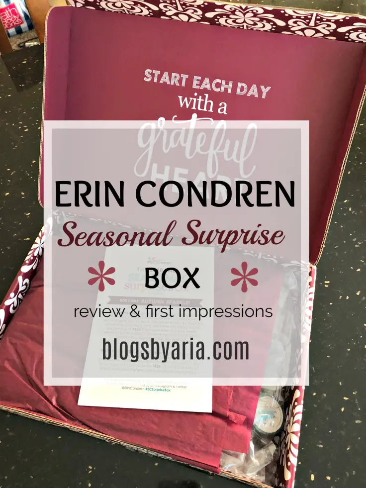 Erin Condren Fall Seasonal Surprise Box #ECSurpriseBox