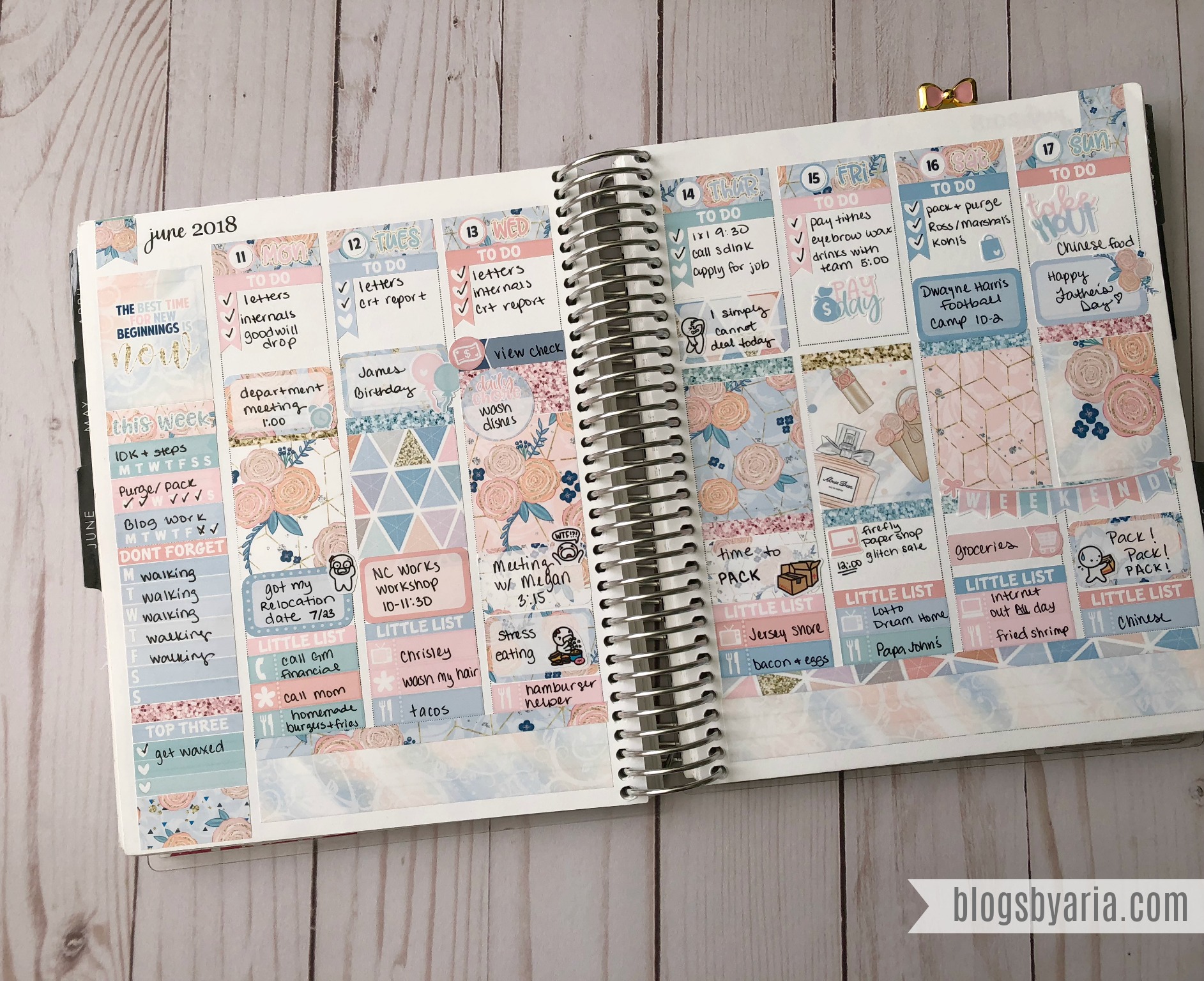 Little Miss Paperie weekly planner spread in my Erin Condren Life Planner