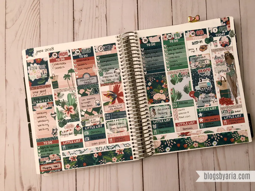 I love this Palm Springs Planner Spread featuring Little Miss Paperie of course #planwithme