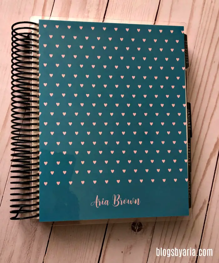 January Favorites : My 2019 Erin Condren Life Planner of course!