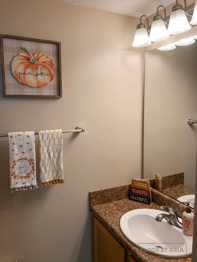 fall decorated guest bathroom