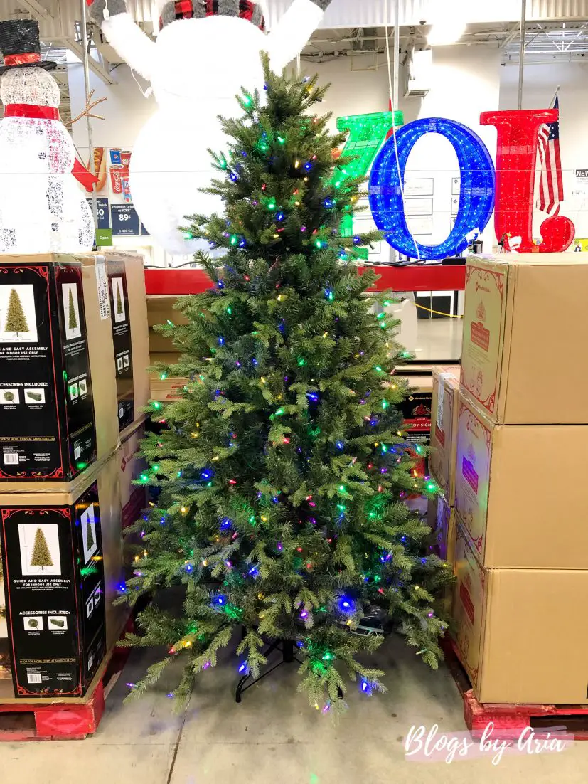 Majestic Fir Christmas Tree at Sam's Club