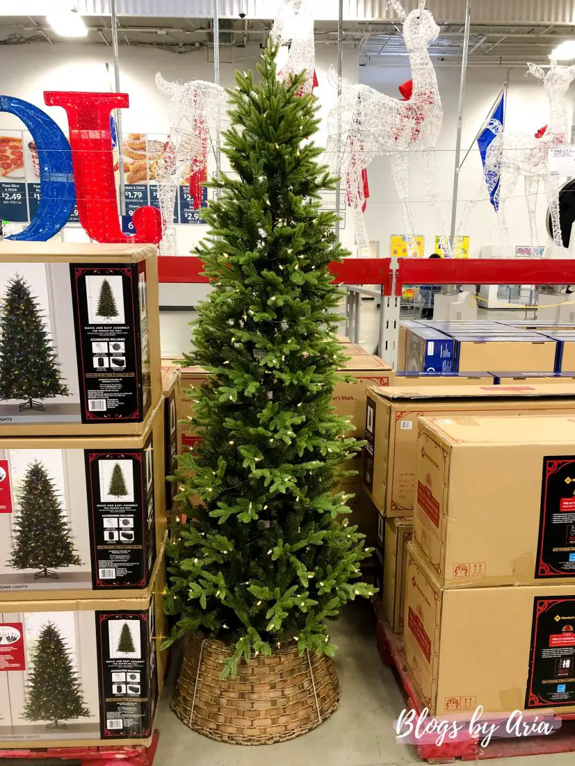 shopping for the perfect Christmas tree