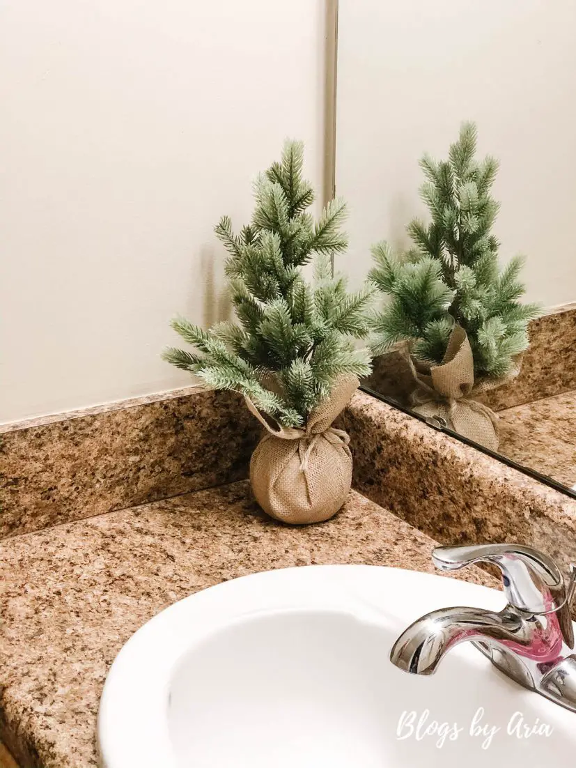 bathroom Christmas decor