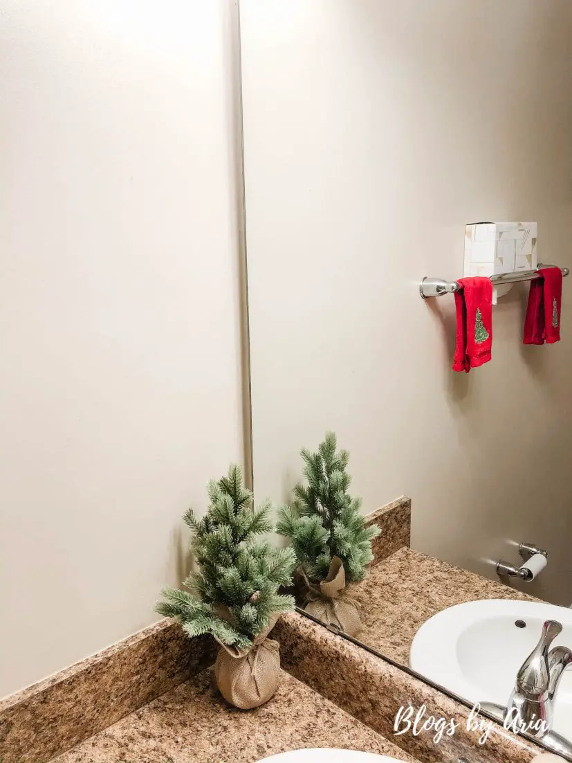 holiday bathroom decor