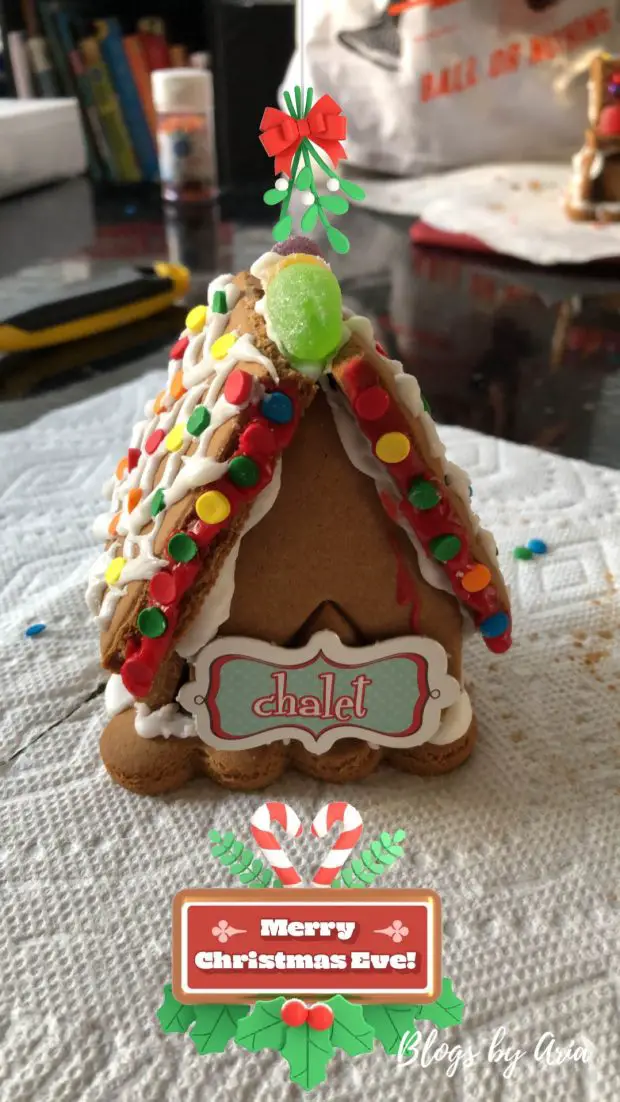 my first gingerbread house