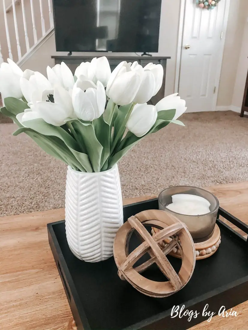 simple coffee table decor