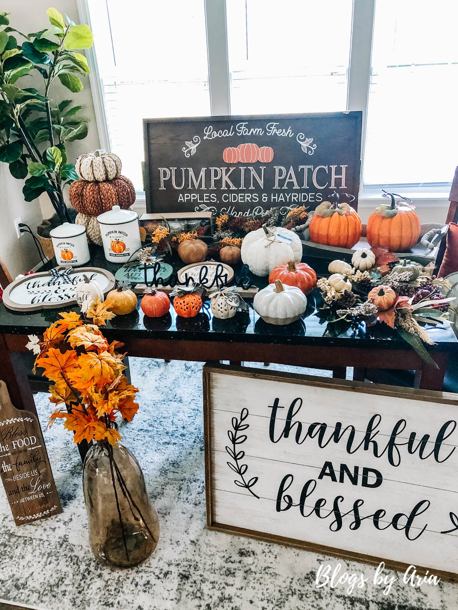 Fall Decor Haul - Blogs by Aria