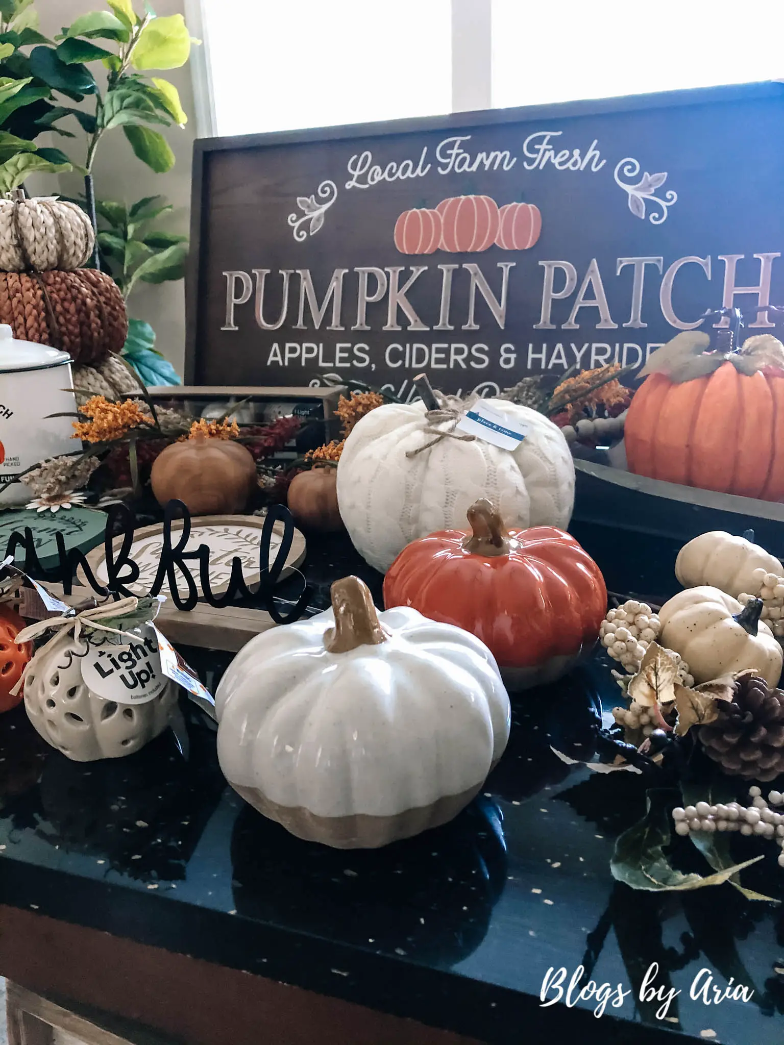 fall pumpkins haul
