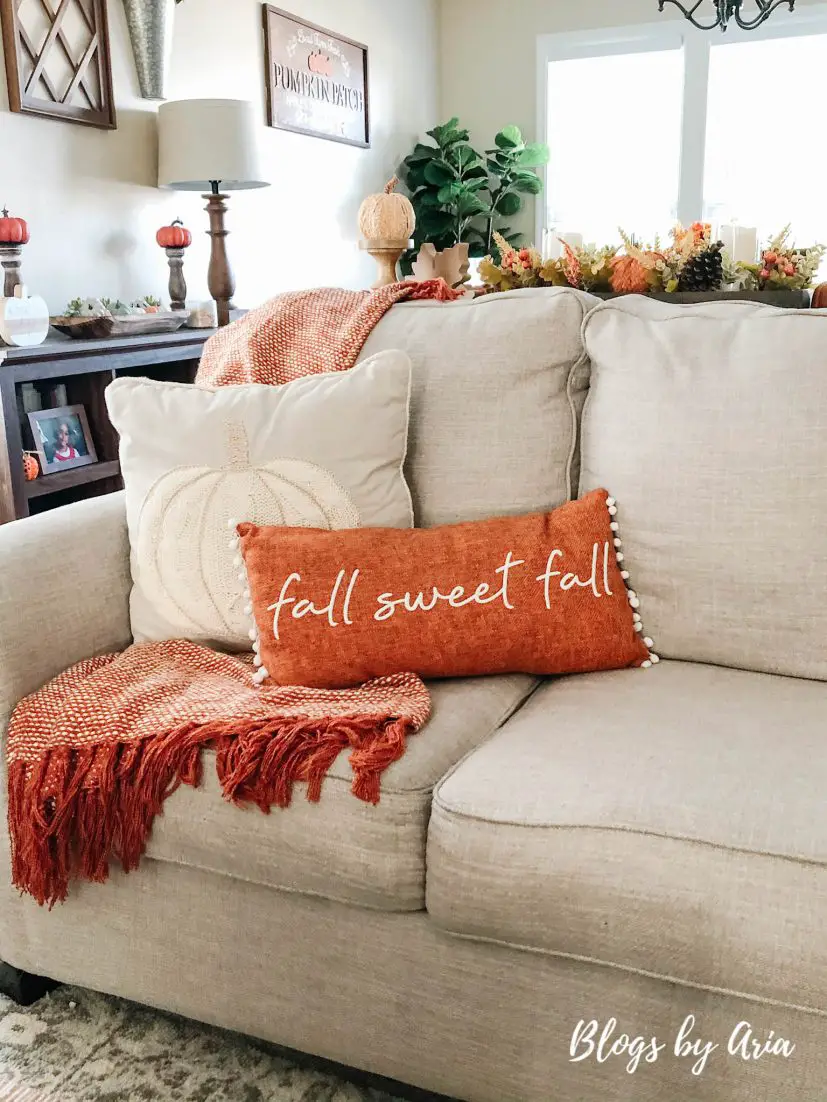 Painted Pumpkin Pillow for fall : Pottery Barn Inspired