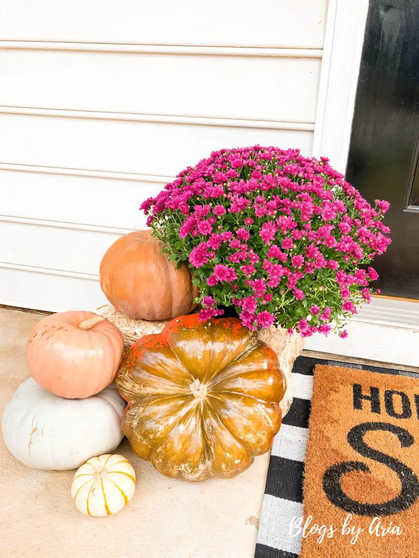 decor for small front porch