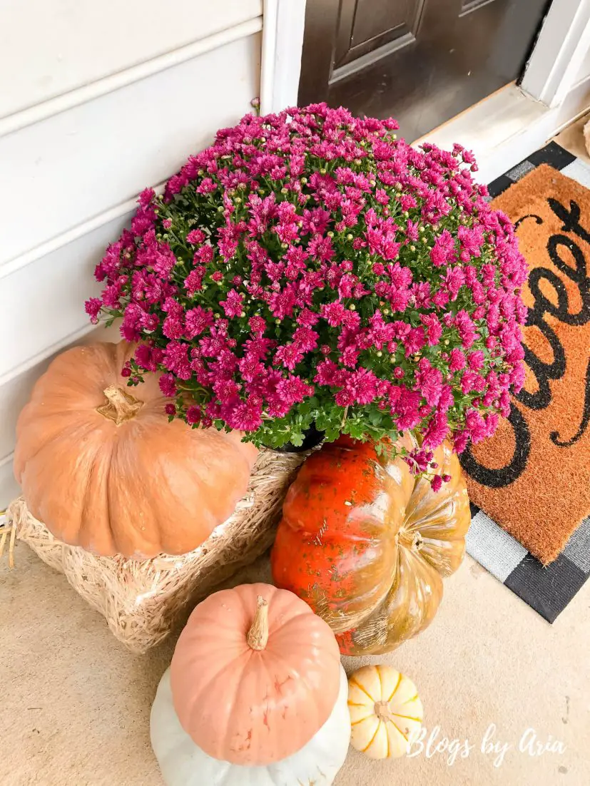 fall front porch decorating ideas on a budget