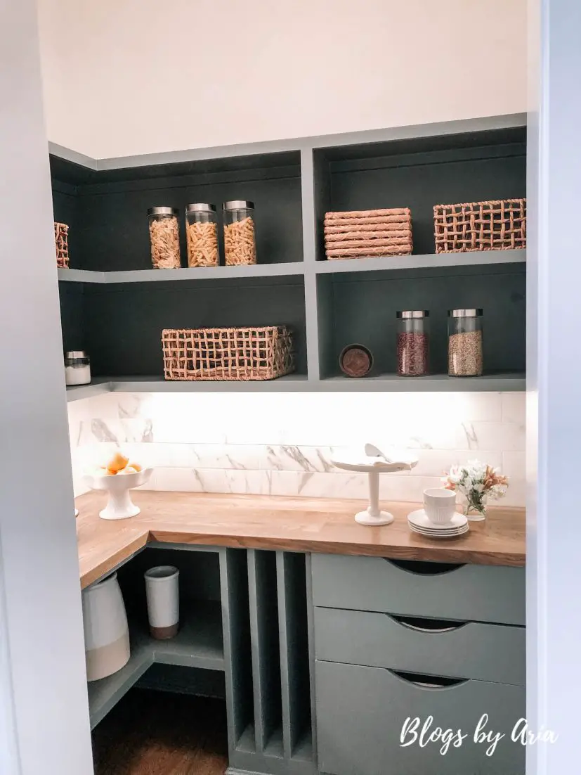 walk in pantry design and storage ideas